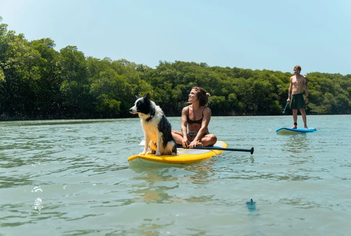 Servico de concierge personalizado no Paradiso Wellness Living